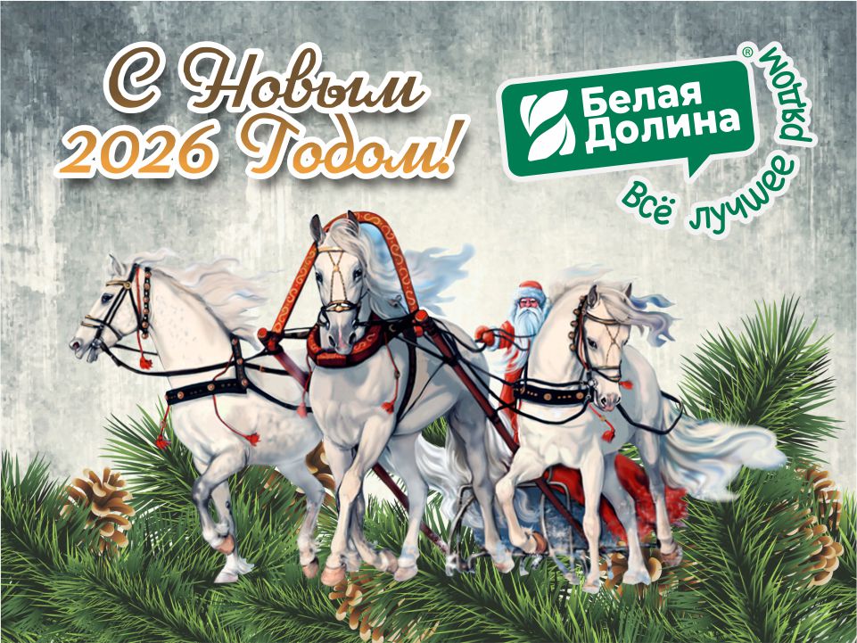 ГК «Белая Долина» поздравляет с Новым 2026 годом!