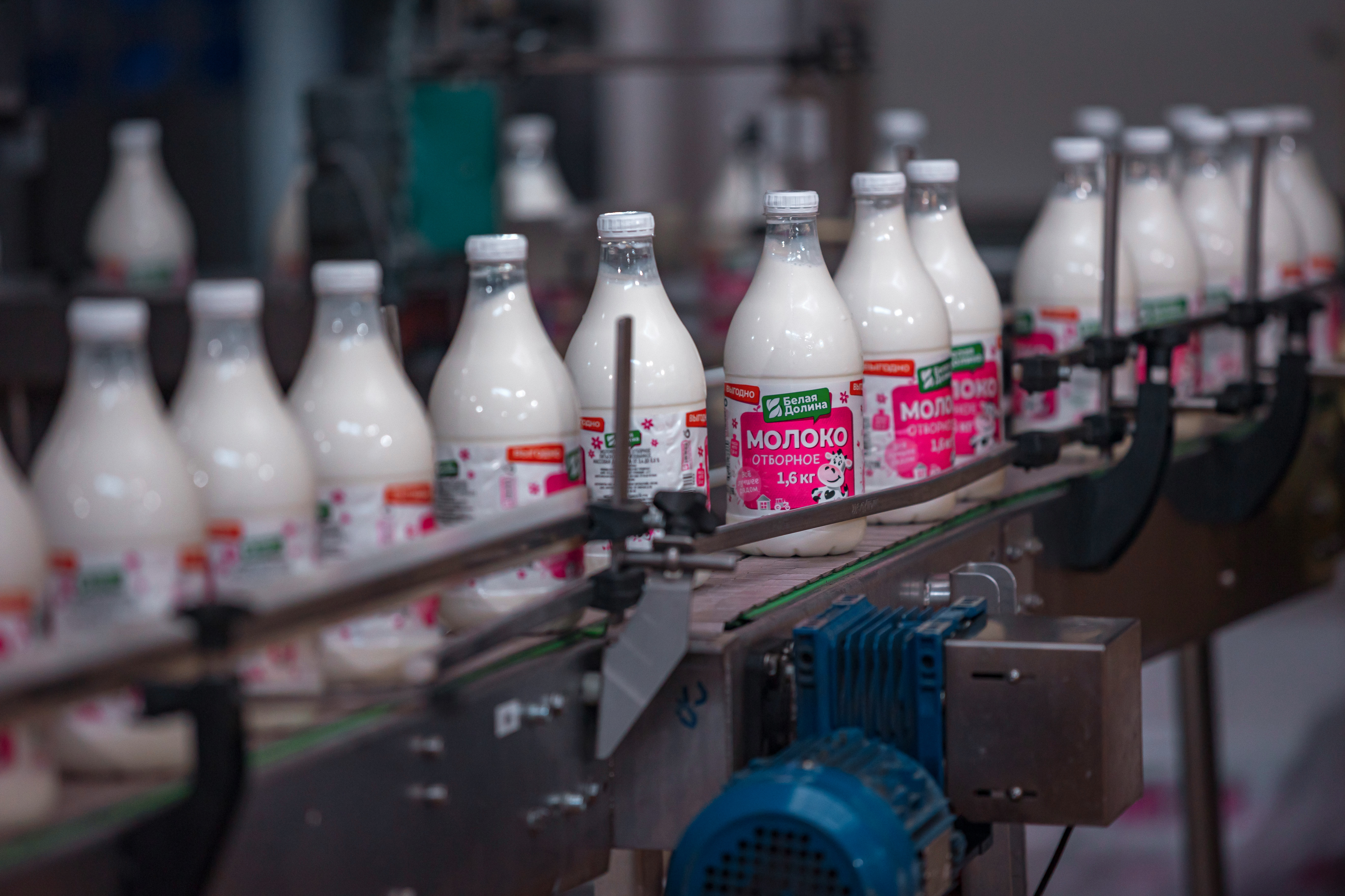 Группа Компаний «Белая Долина» – лидер молочной продукции Саратовской области